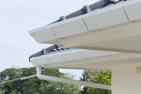 Professional Versus DIY Gutter Cleaning