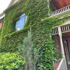 Exterior Window Cleaning in St. Paul, MN 4
