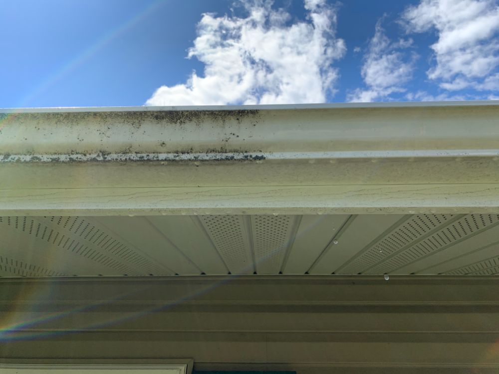 House Washing in St. Cloud, MN