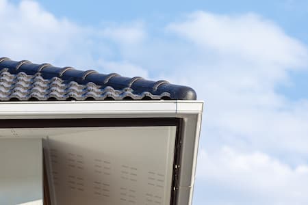 Gutter cleaning